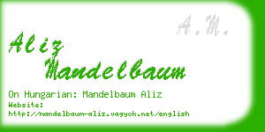 aliz mandelbaum business card